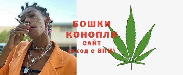 ГАЛЛЮЦИНОГЕННЫЕ ГРИБЫ Лагань