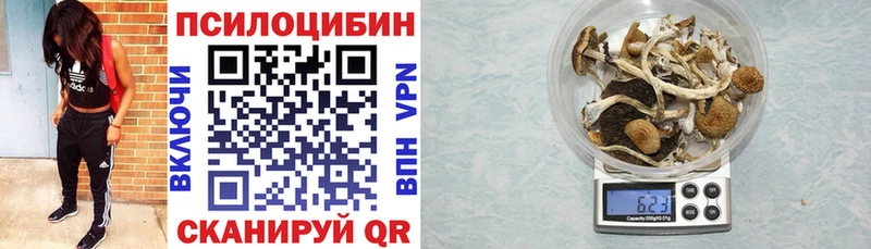 Купить закладки  Белоусово  Галлюциногенные грибы прущие грибы 